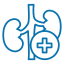 kidney kidney